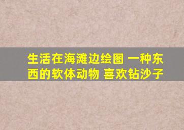 生活在海滩边绘图 一种东西的软体动物 喜欢钻沙子